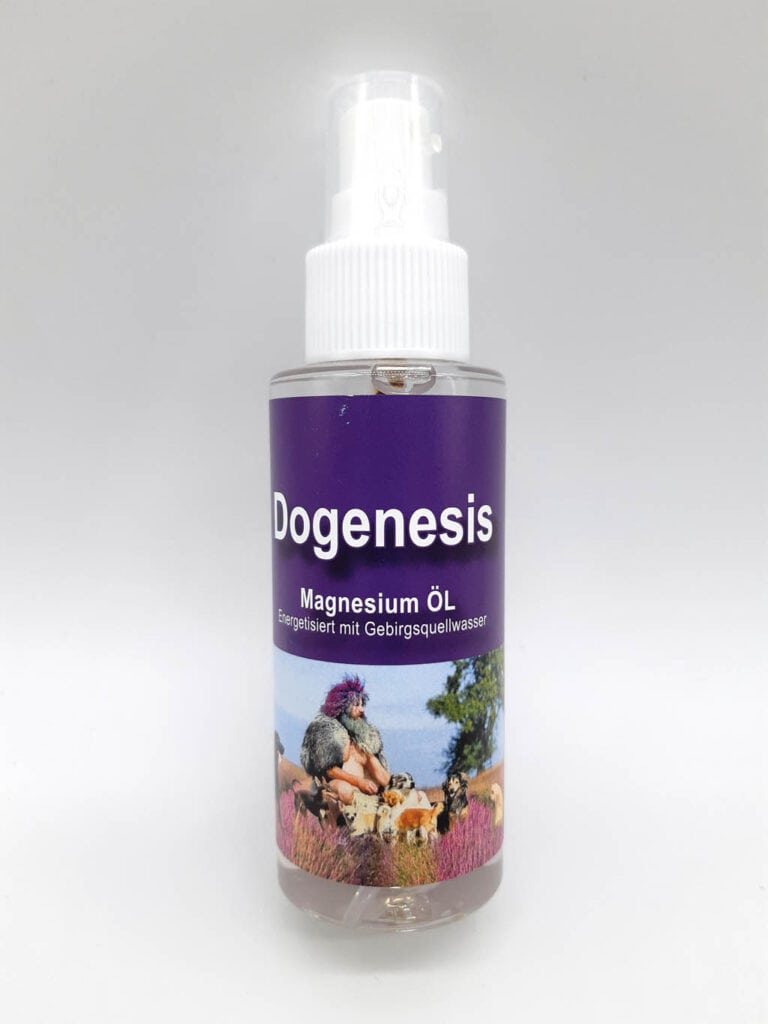 Magnesium-Öl Spray Robert Franz