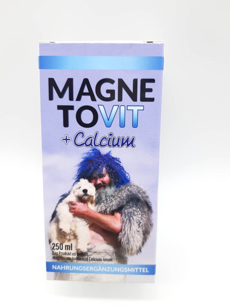 MagnetoVit